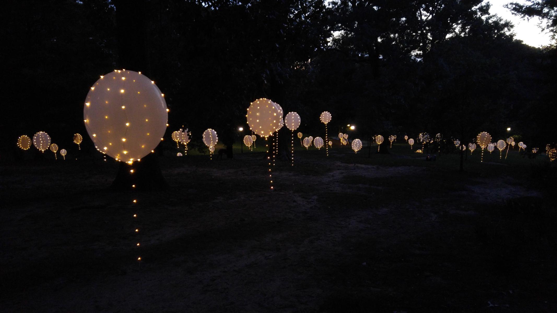Photograph of a park hill at dusk with hundreds of large white balloons floating three feet above the ground, each surrounded by strands of tiny lights.